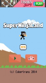 Super Ninja Land 03
