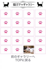 猫天気〜天気予報＆可愛い猫写真〜 02