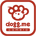 dogg.me camera(ドッグミーカメラ)愛犬家向け写真SNS　アイコン